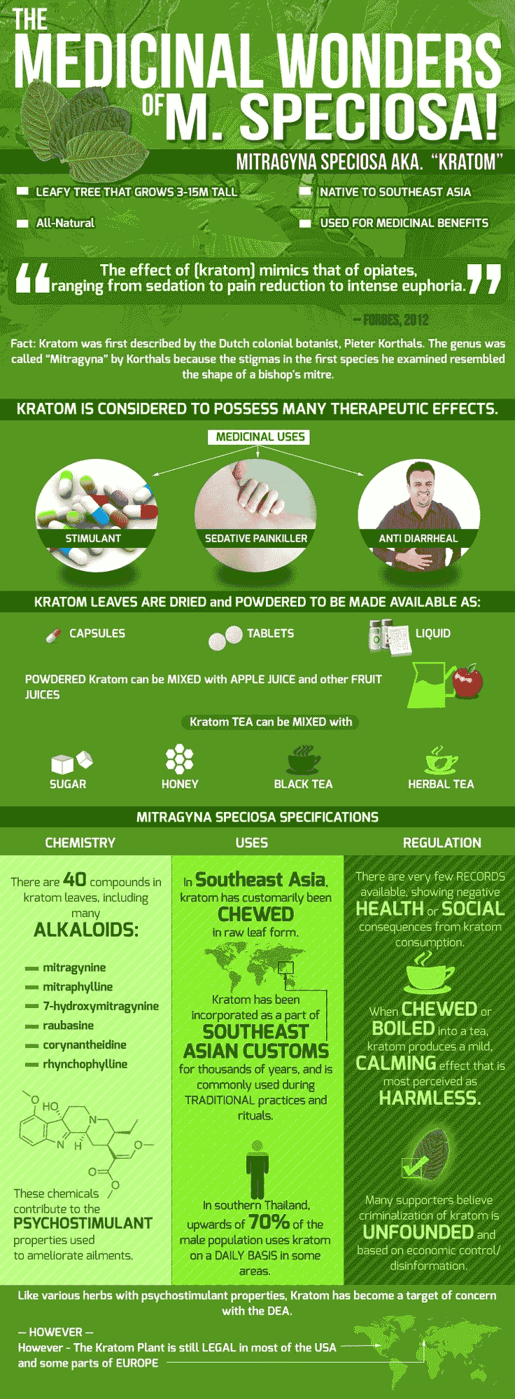 kratom-infographic Kratom Infographic