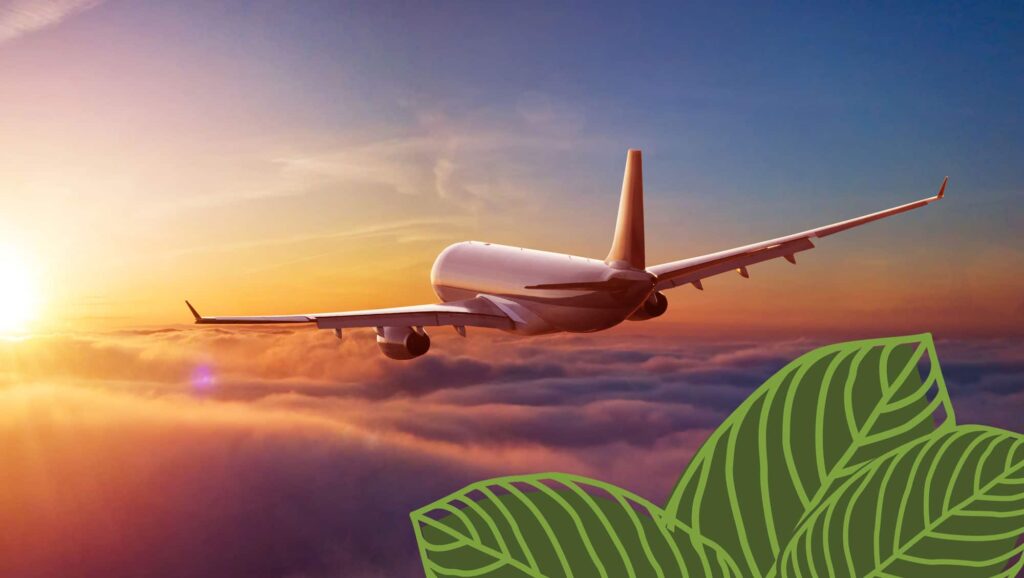 Traveling With Kratom