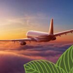 Traveling With Kratom